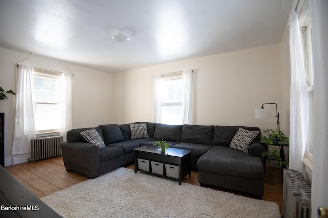 living room featuring radiator and light wood-type flooring