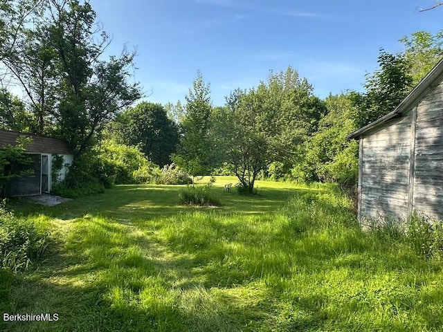 425 Barbour St, North Adams, MA 01247 - view of green lawn featuring a shed