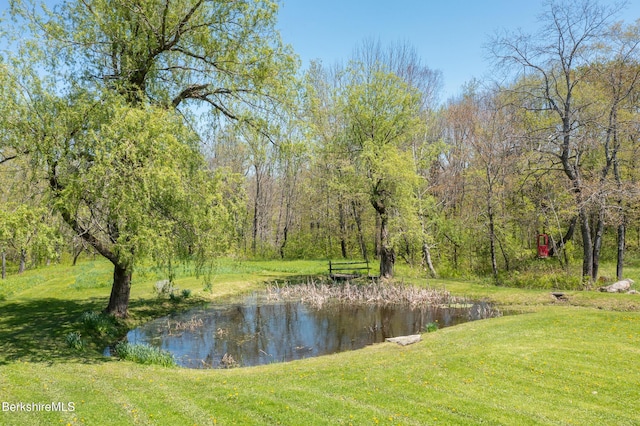 350 Beartown Mountain Rd, Monterey, MA 01245 - photo 7