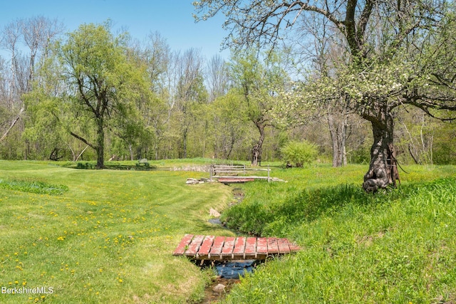 350 Beartown Mountain Rd, Monterey, MA 01245 - photo 8