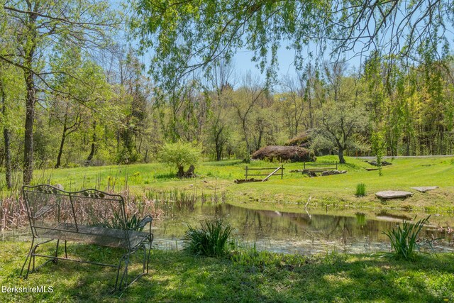 350 Beartown Mountain Rd, Monterey, MA 01245 - photo 6