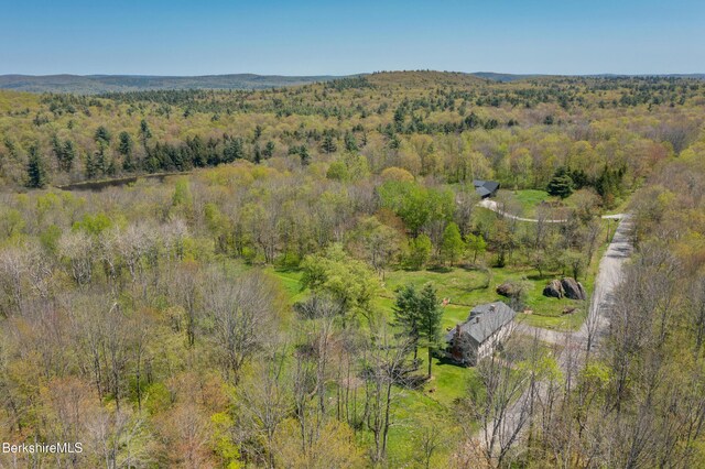 350 Beartown Mountain Rd, Monterey, MA 01245 - photo 37