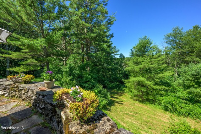 176 W Center Rd, West Stockbridge, MA 01266 - photo 40