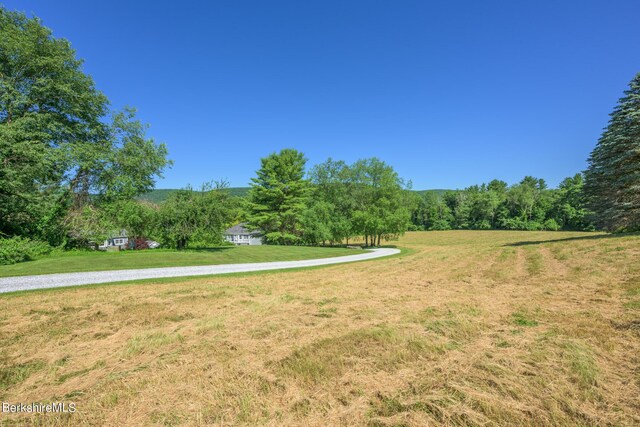 176 W Center Rd, West Stockbridge, MA 01266 - photo 49
