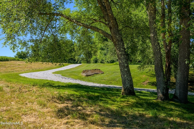 176 W Center Rd, West Stockbridge, MA 01266 - photo 5
