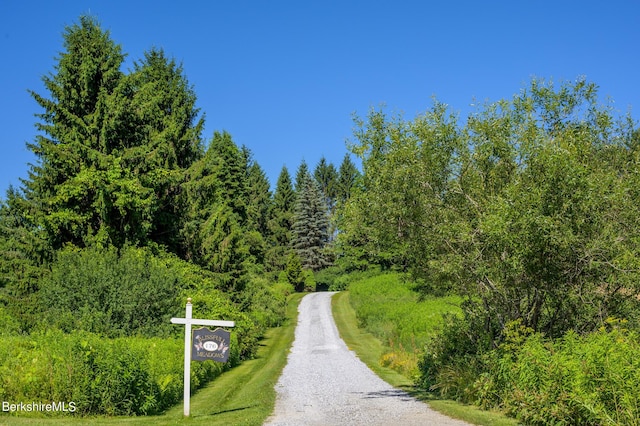 176 W Center Rd, West Stockbridge, MA 01266 - photo 4