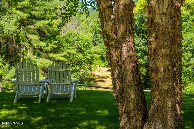 176 W Center Rd, West Stockbridge, MA 01266 - photo 41