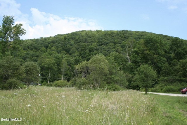 view of local wilderness with a wooded view