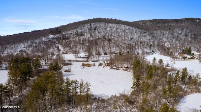 view of mountain feature featuring a view of trees