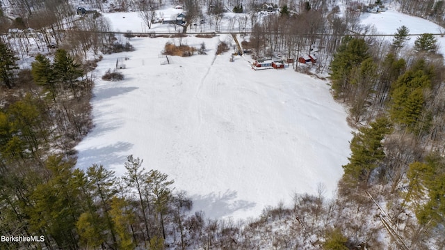 view of snowy aerial view