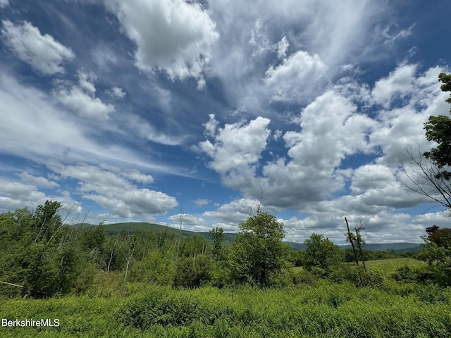 0 Holly Ln, Williamstown, MA 01267 - photo 1