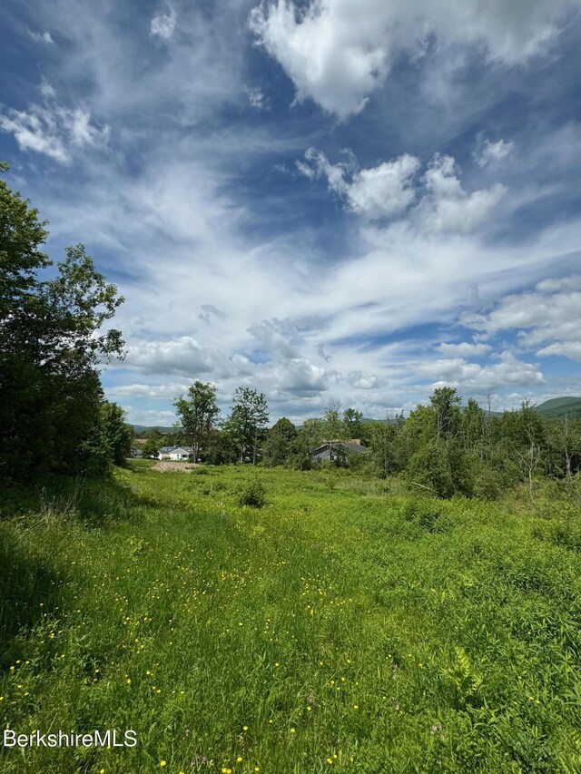 0 Holly Ln, Williamstown, MA 01267 - photo 3