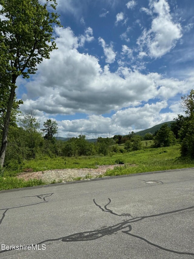 0 Holly Ln, Williamstown, MA 01267 - photo 4
