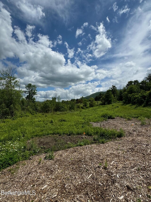 0 Holly Ln, Williamstown, MA 01267 - photo 5
