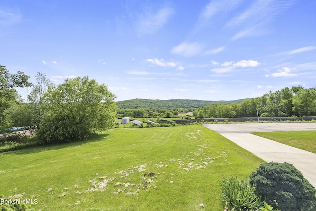 881 Holmes Rd, Pittsfield, MA 01201 - view of grassy yard