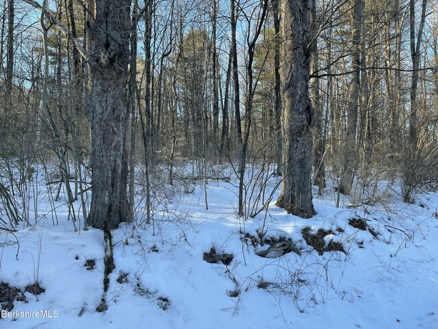 LOT5-7 Partridge Rd, Lanesborough, MA 01237