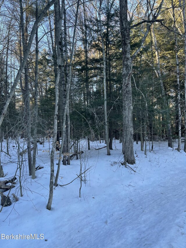 LOT5-7 Partridge Rd, Lanesborough, MA 01237