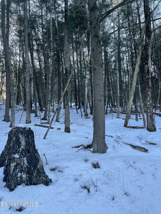 LOT5-7 Partridge Rd, Lanesborough, MA 01237