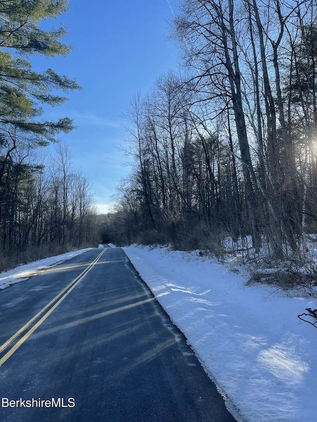 LOT5-7 Partridge Rd, Lanesborough, MA 01237