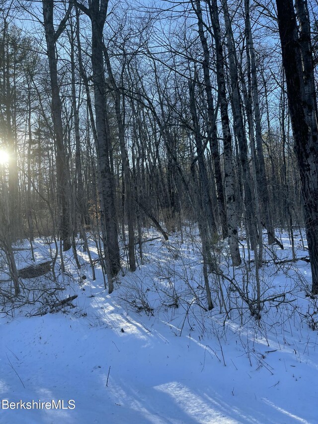 LOT5-7 Partridge Rd, Lanesborough, MA 01237