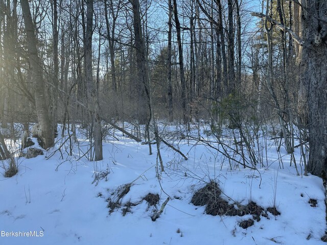LOT5-7 Partridge Rd, Lanesborough, MA 01237