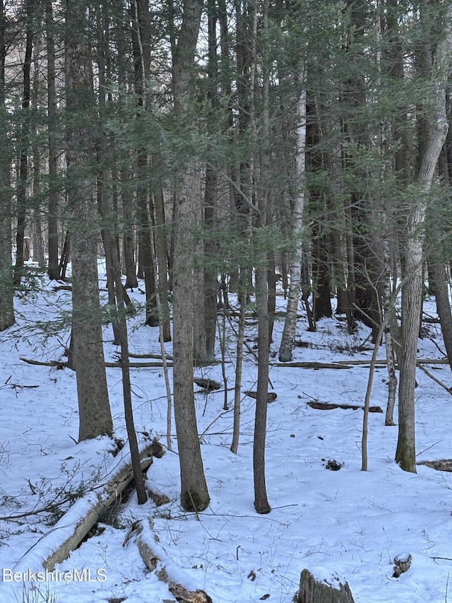 LOT5-7 Partridge Rd, Lanesborough, MA 01237