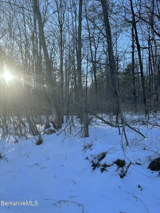 LOT5-7 Partridge Rd, Lanesborough, MA 01237