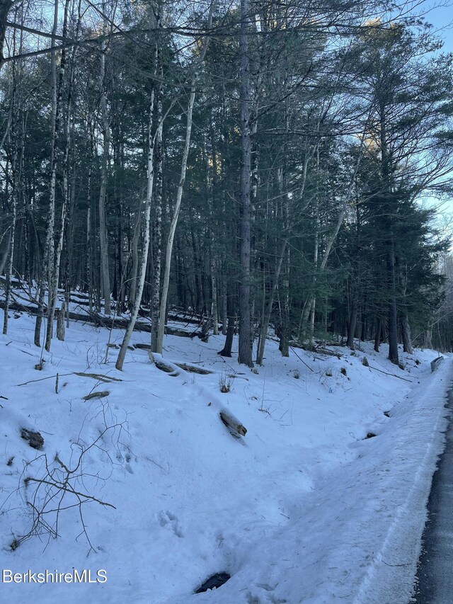 LOT5-7 Partridge Rd, Lanesborough, MA 01237