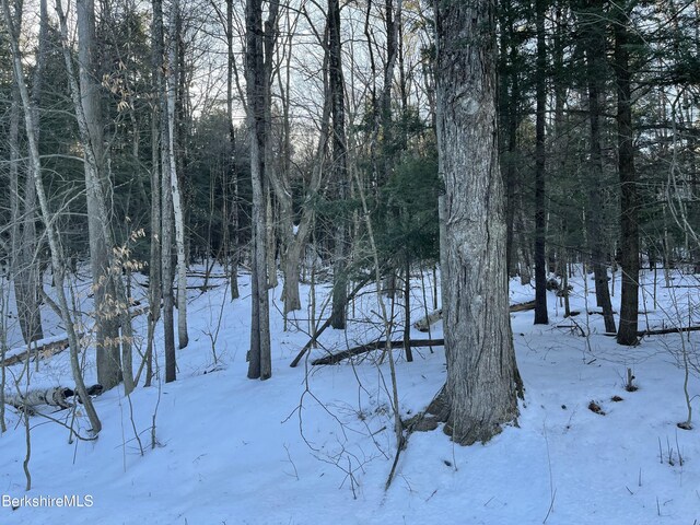 LOT5-7 Partridge Rd, Lanesborough, MA 01237