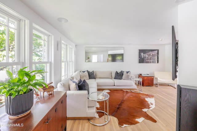 1 Old Tree Farm Rd, Stockbridge, MA 01262 - photo 18