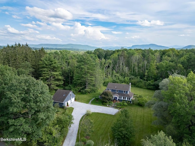 1 Old Tree Farm Rd, Stockbridge, MA 01262 - photo 1