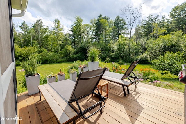 1 Old Tree Farm Rd, Stockbridge, MA 01262 - photo 17