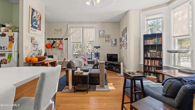 living area featuring light wood-style flooring and a wealth of natural light