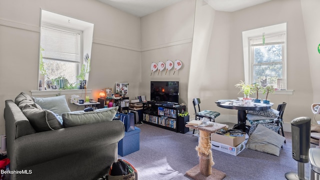 view of carpeted living area