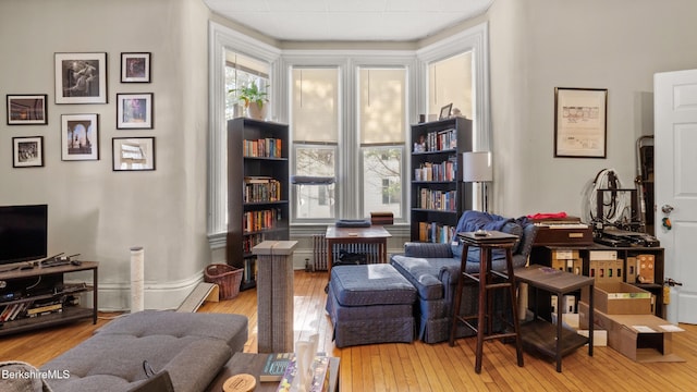 living area with wood-type flooring