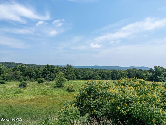 86 Ballymount Dr, Millerton, NY 12546 - photo 6