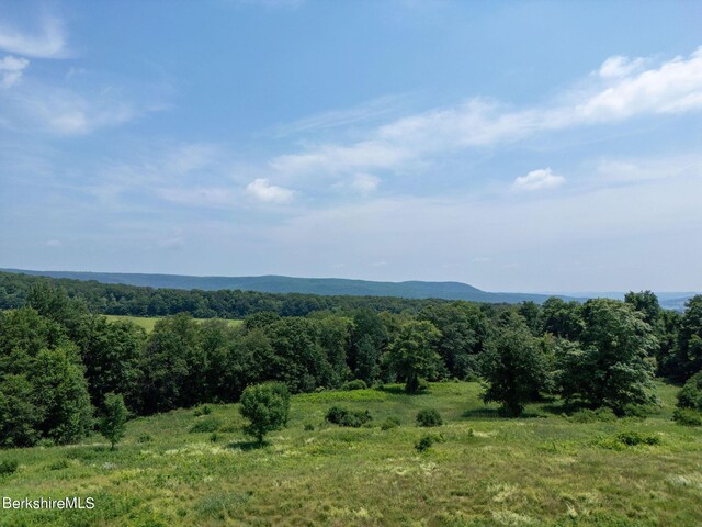 86 Ballymount Dr, Millerton, NY 12546 - photo 8