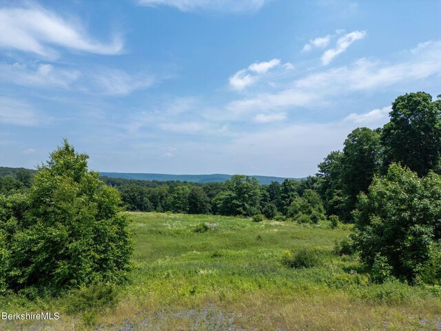 86 Ballymount Dr, Millerton, NY 12546 - photo 12