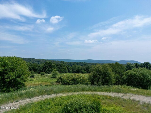 86 Ballymount Dr, Millerton, NY 12546 - photo 4
