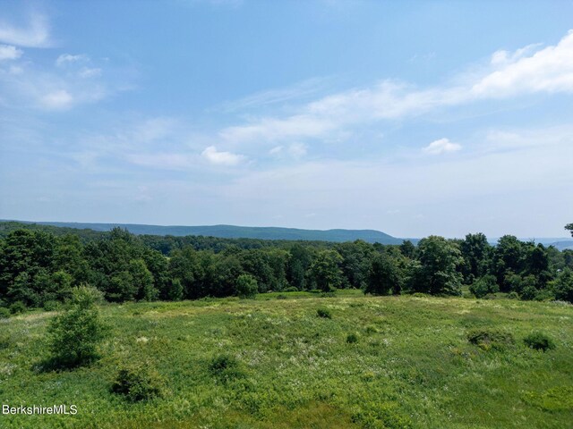 86 Ballymount Dr, Millerton, NY 12546 - photo 7