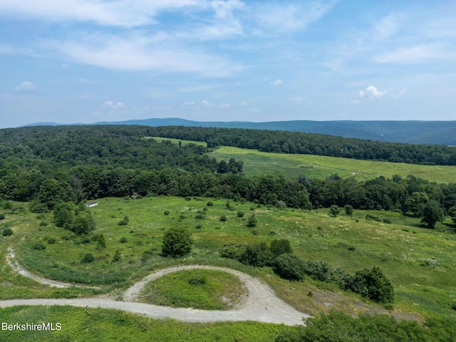 86 Ballymount Dr, Millerton, NY 12546 - photo 1