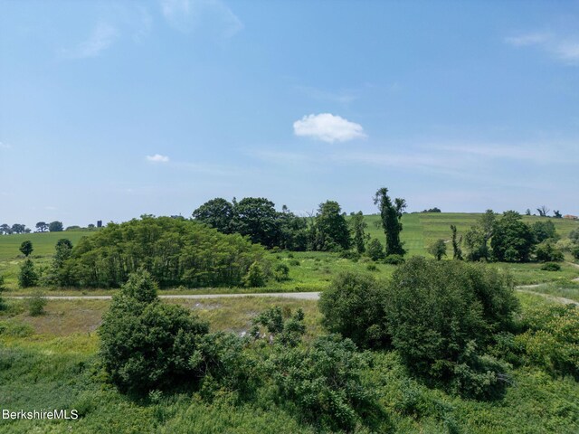 86 Ballymount Dr, Millerton, NY 12546 - photo 9
