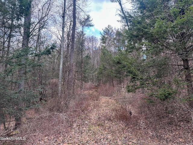 0 Glendale Rd, Stockbridge, MA 01262