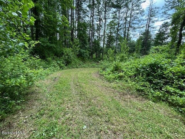 0 Glendale Rd, Stockbridge, MA 01262