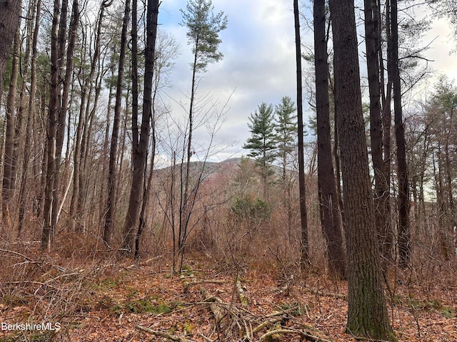 0 Glendale Rd, Stockbridge, MA 01262