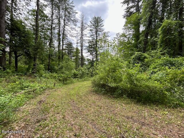 0 Glendale Rd, Stockbridge, MA 01262