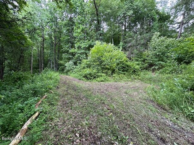 0 Glendale Rd, Stockbridge, MA 01262
