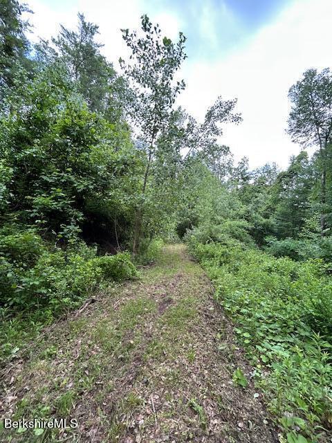 0 Glendale Rd, Stockbridge, MA 01262