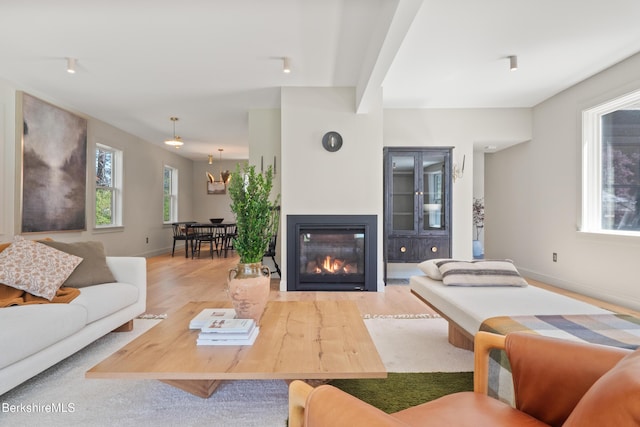 living area featuring wood finished floors, baseboards, and a glass covered fireplace