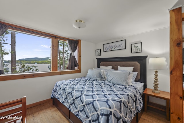 123 Bock Way, New Marlborough, MA 01230 - bedroom with wood finished floors, multiple windows, and baseboards